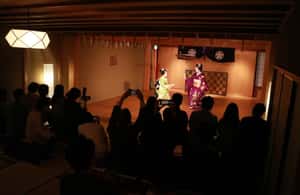 image n.3 of Kyoto: Maiko Dance Performance and Kaiseki cuisine activity in Kyoto, uploaded by supplier