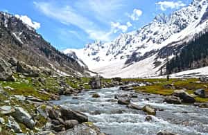 image n.4 of 2 Nights 3 Days Sonmarg Snowfall Tour activity in Jammu and Kashmir, uploaded by supplier