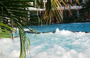 image n.4 of Bucharest: All Day Therme with Elysium Experience activity in Balotesti, uploaded by supplier