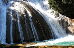 imagem n.4 de De Tuxtla Gutierrez: Palenque e Chiapas - Excursão de 4 dias atividade em Palenque, Chiapas, carregada pelo fornecedor