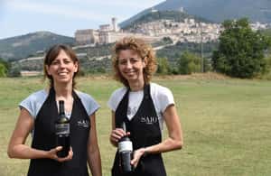 imagem n.3 de Assis: Degustação de vinhos, harmonização gastronômica, caminhada nos vinhedos atividade em Assis, Itália, carregada pelo fornecedor