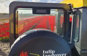 image n.4 of From Lisse: Landrover Tour Around Keukenhof & Flower Fields activity in Lisse, uploaded by supplier
