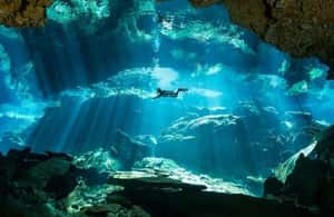 slika št. 3 aktivnosti Iz Cancuna: potapljaška izkušnja Chikin Ha Cenote na destinaciji Quintana Roo, naložil dobavitelj