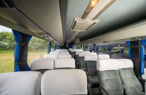 imatge núm.3 de l'activitat de Victoria Falls: trasllat a l'aeroport des de i des de la ciutat a Ciutat de les Cascades Victòria, penjada pel proveïdor