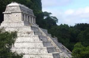 imagem n.3 de De Tuxtla Gutierrez: Palenque e Chiapas - Excursão de 4 dias atividade em Palenque, Chiapas, carregada pelo fornecedor