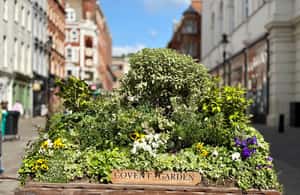 зображення №3 активності «Секрети Лондона: екскурсія по Ковент-Гардену та ресторану Rules» в такій локації: Лондон, завантажене постачальником