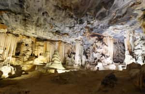 image n.4 of 3 Day Garden Route All-inclusive Private Tour from Cape Town activity in Oudtshoorn, uploaded by supplier