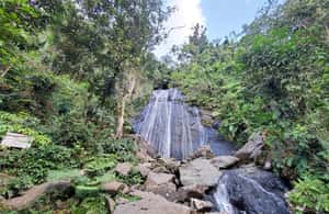 image n.3 of San Juan: Hike to The Clouds & Forest Bathing activity in San Juan, Puerto Rico, uploaded by supplier