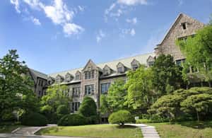 image n.3 of Seoul Suburbs Private Chartered Car Tour for 10HR activity in Yongin-si, uploaded by supplier