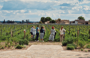 image n.4 of Bordeaux Full Day Wine Tour - 3 Wineries & Picnic Lunch activity in Bordeaux, uploaded by supplier