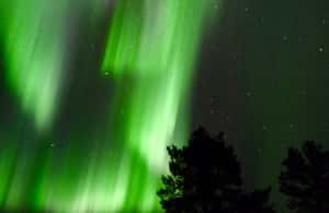 Immagine nº 3 di Saariselkä: Tour di caccia all'aurora con esperti di aurora boreale attività a Saariselkä, caricata dal fornitore