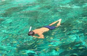 billede nr.4 af aktiviteten Phi Phi: Privat 7 øer med langhalet båd til Maya Bay og Bamboo i Thailandbugten, uploadet af udbyder