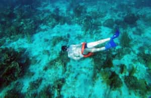 imagem n.4 de Catamarã Negril: Passeio matinal, mergulho com snorkel, DJ e Rick's Cafe atividade em Negril, carregada pelo fornecedor