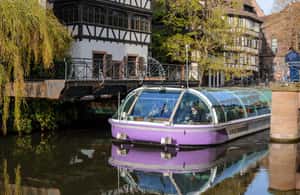 image n.3 of Strasbourg Food Tour : Gourmet private Tour with tastings activity in Strasbourg, uploaded by supplier