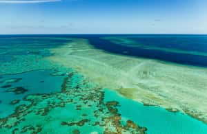 Image N°4 de Airlie Beach : Vol panoramique Whitsundays & Heart Reef activité à Queensland, publiée par le prestataire