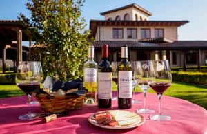 Bild Nr. 3 von La Rioja: Bodegas Altanza Aktivität in La Rioja, hochgeladen vom Anbieter