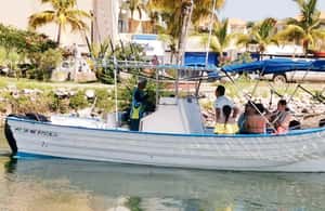 Εικόνα 4 από Mazatlan: θαλάσσια λιοντάρια και κολύμπι με αναπνευστήρα δραστηριότητα σε Μαζατλάν, ανέβηκε από πάροχο