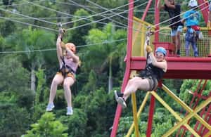 billede nr.4 af aktiviteten Río Grande: Zipline-oplevelse i regnskoven i Río Grande, Puerto Rico, uploadet af udbyder