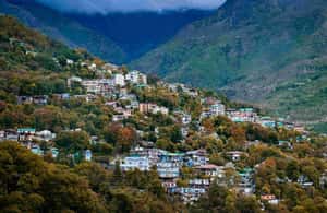 image n.4 of Dharamsala Half Day Sightseeing Tour activity in Himachal Pradesh, uploaded by supplier