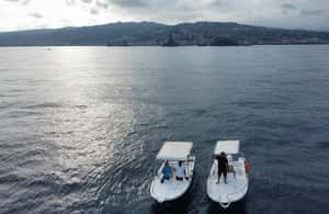 image n.4 of boat tour exploring and searching for dolphins in Acitrezza activity in Sicily, uploaded by supplier