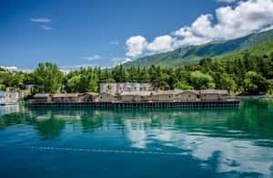 Bild Nr. 3 von Von Ohrid aus: Ganztägige Bootstour zum Kloster von St. Naum Aktivität in Ohrid, hochgeladen vom Anbieter