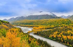 image n.4 of Denali in a Day – Full-Day Sightseeing Tour activity in Healy, uploaded by supplier