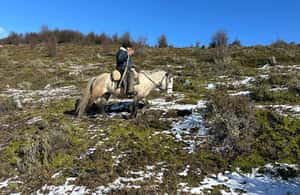 image n.4 of Puerto Natales: Horseback Riding to Dorotea Fjord Lookout activity in Puerto Natales, uploaded by supplier