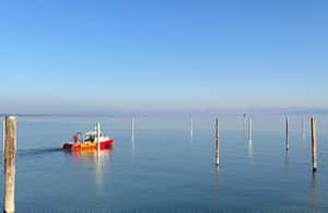Bild Nr. 3 von Von Basel aus: Private Tour durch 4 Länder und zum Bodensee Aktivität in Lindau (Bodensee), hochgeladen vom Anbieter