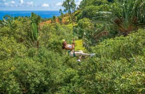 bild nr.4 av Mauritius, Mauritius Vallé Advenature Park - Äventyrstur Zipline aktivitet i Chamouny, uppladdad av arrangören