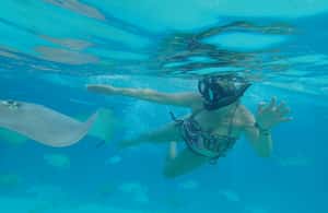 image n.4 of Moorea: 6 H Private Boat Tour with Snorkeling and Lunch activity in Tiahura, uploaded by supplier