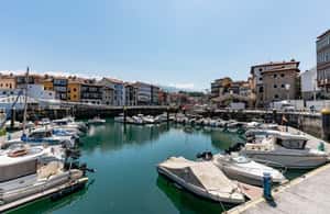 image n.4 of خيخون ريباديسيلا وليلانيس وسان فيسنتي دي لا باركيرا activity in ليانس, uploaded by supplier