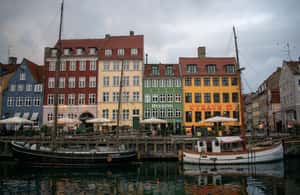 image n.4 of Copenhagen: Guided Walking Tour in French activity in Copenhagen, uploaded by supplier