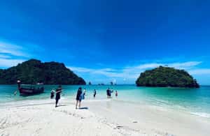 image n.4 of From Krabi: Phi Phi Early Bird & 4 Islands by Speedboat activity in Ao Nang, uploaded by supplier