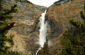 pilt nr 4/Calgaryst: Moraine & Louise Lake, Banff & Falls Day Trip tegevusest Briti Columbia, üles laadinud tarnija