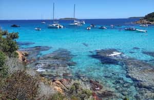 Image N°4 de Demi-journée : après-midi détente vers les îles Lavezzi et Cavallo activité à Porto-Vecchio, publiée par le prestataire