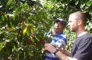 사카테페케스에서 산살바도르: 루타 데 라스 플로레스와 커피 농장 종일 투어 액티비티의 4번 이미지, 공급업체 업로드