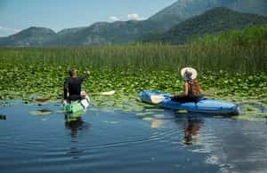 image n.4 of Skadar Lake: Individual Kayaking Experience activity in Podgorica Municipality, uploaded by supplier