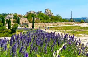 imagem n.4 de De Avignon: Arles, Les Baux-de-Provence e Saint-Rémy Tour atividade em Arles, carregada pelo fornecedor