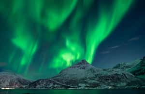 bild nr.3 av Tromsö: Aurora-tur med lägereld och professionella foton aktivitet i Tromsø, uppladdad av arrangören
