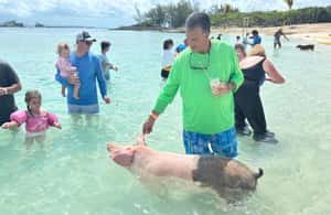 image n.4 of Nassau: 4-Island Tour Swimming Pigs, turtles, snorkeling activity in New Providence, uploaded by supplier