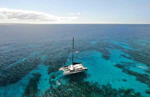 image n.3 of Maui: Snorkeling and Sailing Adventure with Buffet Lunch activity in Hawaii, uploaded by supplier