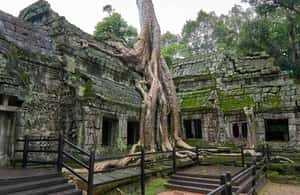 image n.3 of Angkor Zipline and Temple Tour with Sunset activity in Siem Reap, uploaded by supplier