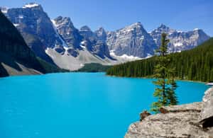 pilt nr 3/Calgaryst: Moraine & Louise Lake, Banff & Falls Day Trip tegevusest Briti Columbia, üles laadinud tarnija