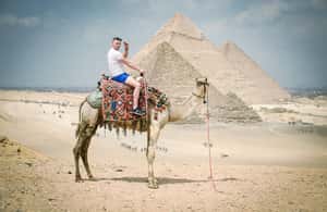 image n.4 of Cairo Day Tour: Pyramids, Museum, Camel Ride & Local Lunch activity in Cairo, uploaded by supplier