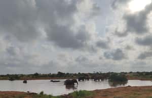 image n.3 of From Watamu: 2-Day Safari in Tsavo East National Park activity in Coast Province, uploaded by supplier