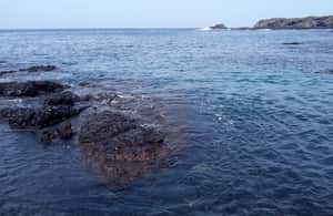 imagem n.4 de Santa Maria: Aventura de pesca na praia e grelhados atividade em Santa Maria, Cabo Verde, carregada pelo fornecedor