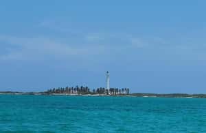 pilt nr 4/Cancun: Cancunc: 3 saartel Snorkel seiklus: 3 saartel Snorkel seiklus tegevusest Quintana Roo, üles laadinud tarnija