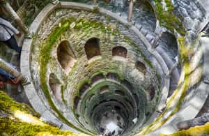 billede nr.3 af aktiviteten Lissabon: Sintra, Pena Palace, Quinta Regaleira, Cascais Tour i Colares, uploadet af udbyder