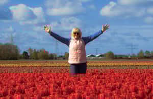 image n.4 of Amsterdam: Tulip Farm Visit, Keukenhof, and Windmill Cruise activity in Voorhout, The Netherlands, uploaded by supplier