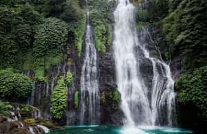 image n.4 of Ulun Danu Beratan Temple, Jatiluwih, Banyumala waterfall activity in Jatiluwih, uploaded by supplier